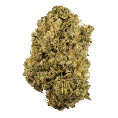durban-poison
